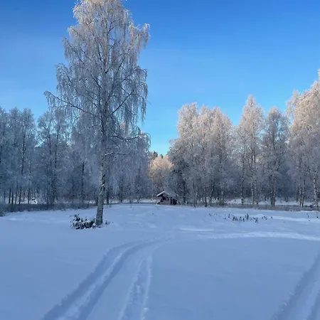 Nyaraló Sinetaen Lomakoti