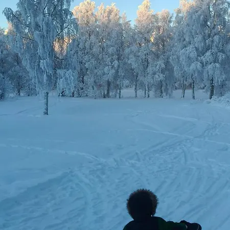 Sinetaen Lomakoti Сasa de vacaciones Rovaniemi