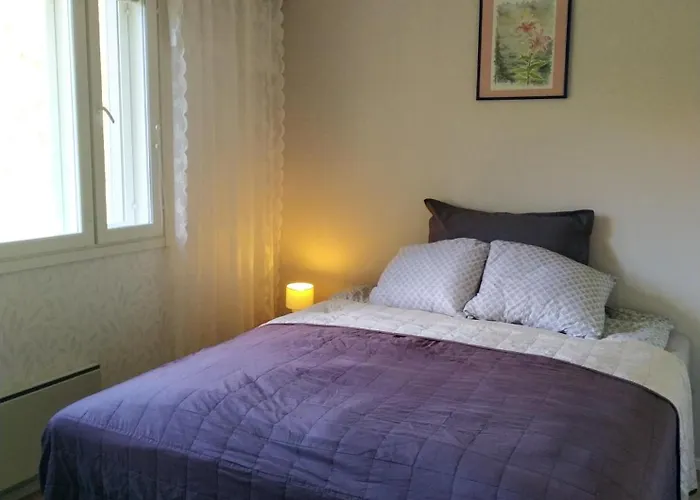 Sinetaen Lomakoti Hébergement de vacances *