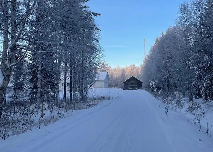 Hébergement de vacances Sinetaen Lomakoti *