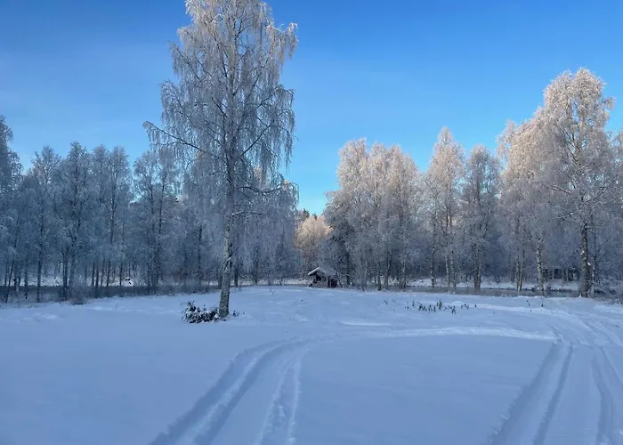 Hébergement de vacances Sinetaen Lomakoti