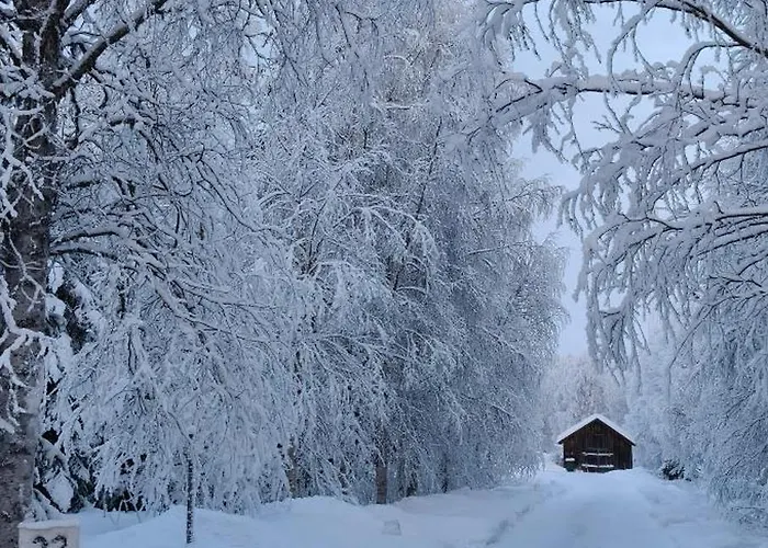 Sinetaen Lomakoti Hébergement de vacances *