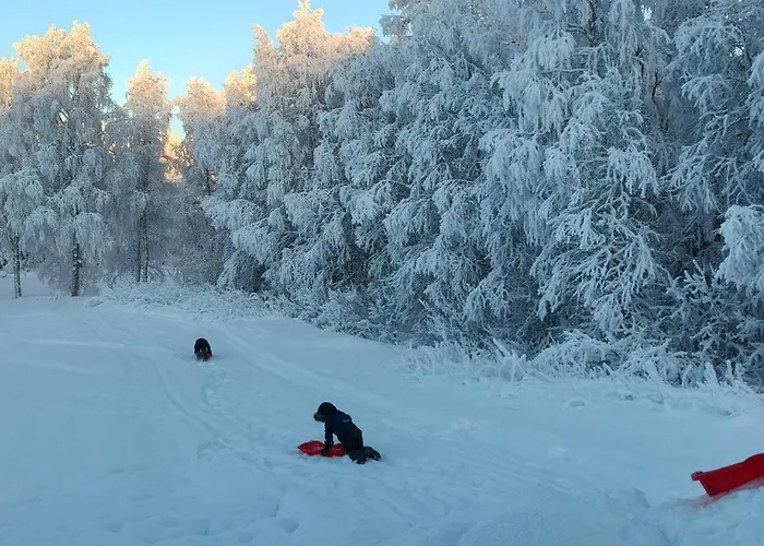 Sinetaen Lomakoti Hébergement de vacances *