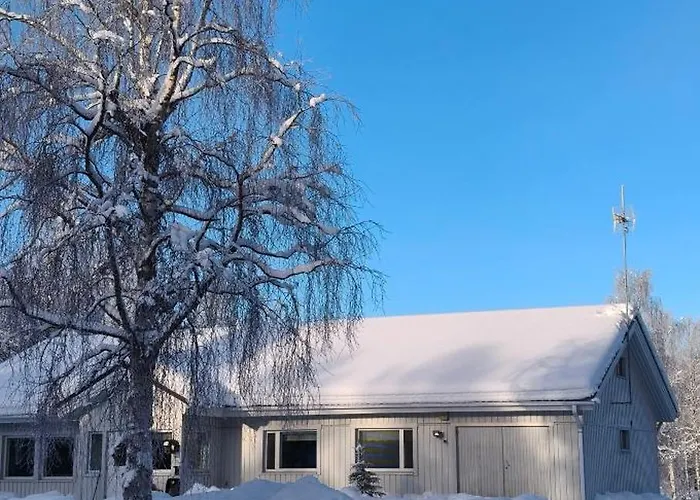 Ferienhaus Sinetaen Lomakoti *
